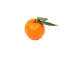Clementine